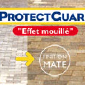 ProtectGuard effet mouillé 5 litres